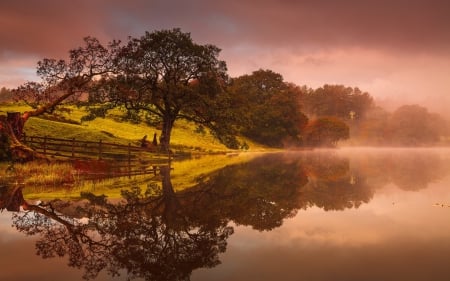 *** Beautiful landscape *** - lake, fogg, trees, nature, autumn