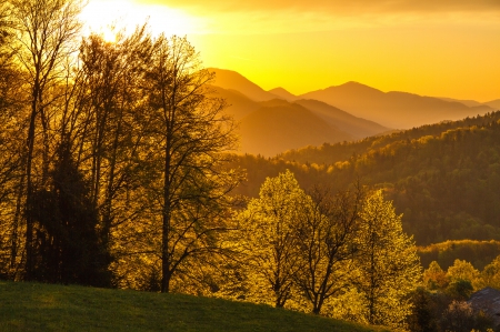 *** Autumn *** - trees, mountains, nature, autumn