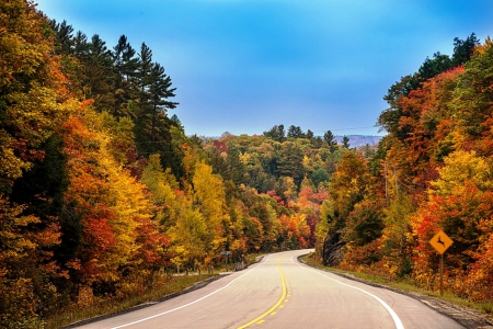 Autumn Colors - Trees, Autumn, Road, Fall, Color, Sky