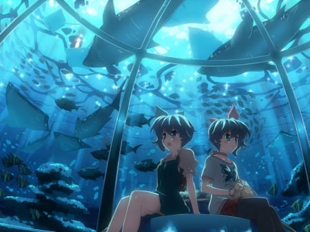 Aquarium - girls, skirt, aquarium, waiting, purse, shark, bow, sisters, short hair, cant think of a fourth, sea