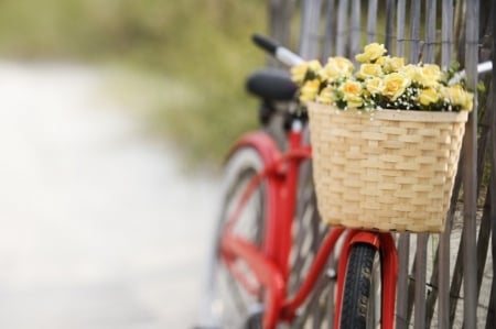 Flowers - abstract, flowers, basket, bicycle