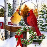 Christmas cardinals