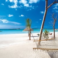 Hammocks on a white sand beach