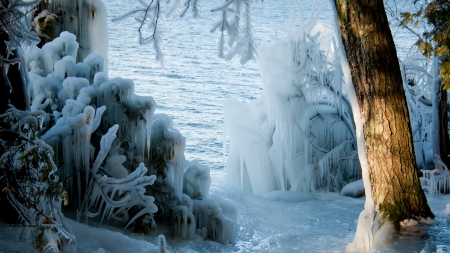 icicles on trees at a lake shore in winter - trees, shore, winter, lake, icicles