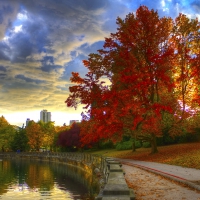 beautiful trees in autumn by a city channel