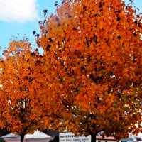 A Beautiful Autumn Day