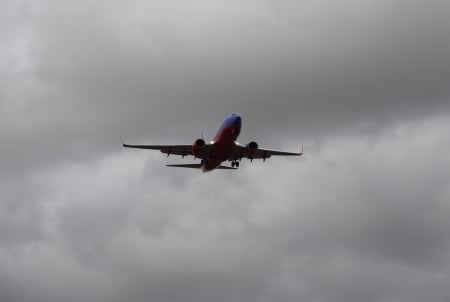 Grey Sky Bird - plane, airplane, aircraft, jet, sky