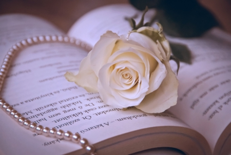 Rose - book, rose, flower, pearl