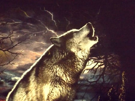 Wolf Howling - wolf, 3d, photography, clothes, howling