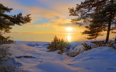 Winter Sunshine - sunshine, footprints, sun, beautiful, snow, winter