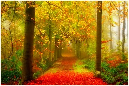 November - Other & Nature Background Wallpapers on Desktop Nexus (Image ...