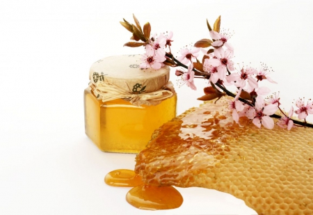 Spanish Honey - bloom, honey, delicious, photography, food, healthy, sweet