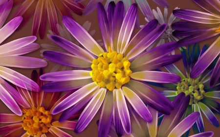 HIGH DEF - PURPLE, HD, 3D, DAISY