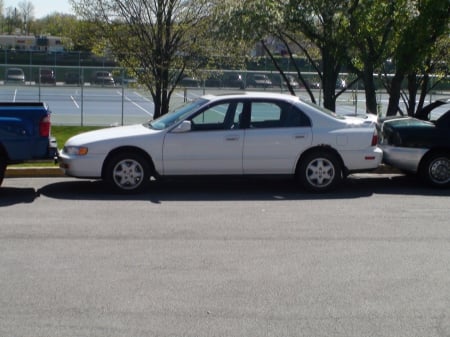 Jackass Parking Jobs - in, jackass, job, car, pinned, parking