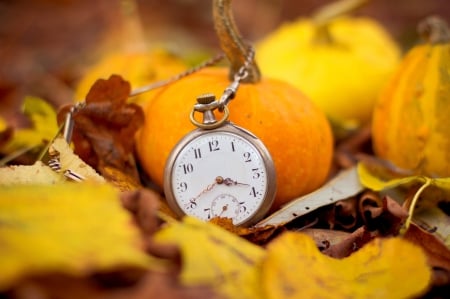 Time... - fall, clock, autumn leaves, leaves, time, autumn