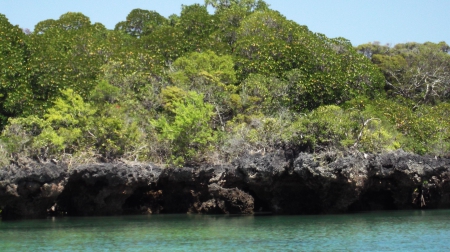 Menai Bay lagoon. Zanzibar - zanzibar, lagoon, menay bay, africa, indian ocean