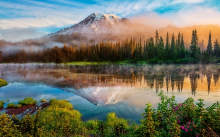 Spectacular View - view, fir trees, lake, spectacular, reflection, mountain