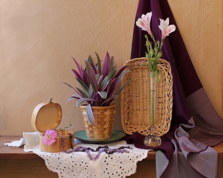 Purple Style - style, purple, decor, room, home, plant, still life