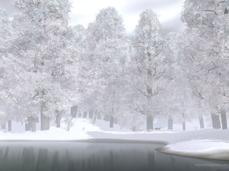 Frozen Balkan - forest, winter, beautiful, photo, white, river, photography, trees, mist, nature, snow, bulgaria