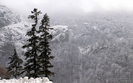 Winter in Stara Planina