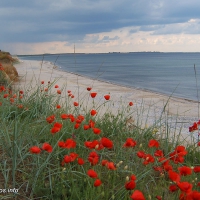 Shabla Beach, Bulgaria