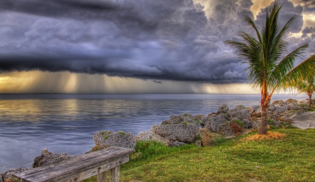 Clouds - clouds, sea, beach, tree