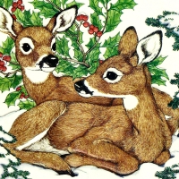 Christmas Fawns 2