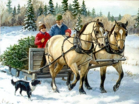 Happy time of the year - carriage, christmas tree, boys, jorse, dog, smiling, father