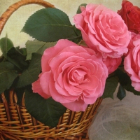 * Basket of roses *