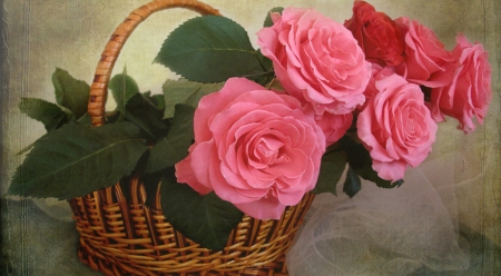 * Basket of roses * - pink roses, roses, soft, basket, flowers