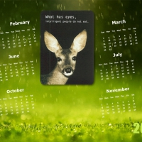 vegan calender 2014