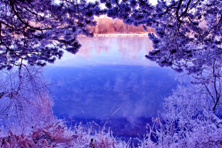 WINTER LAKE - lake, forest, winter, nature