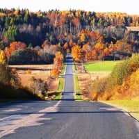 Autumn in Latvia.