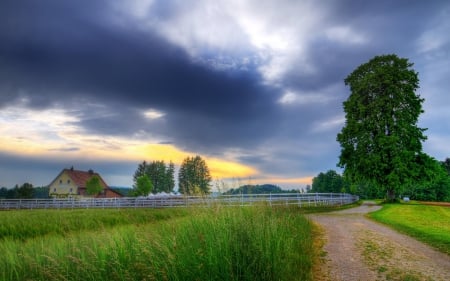 Fazenda - nature, sunset, landscape, grass