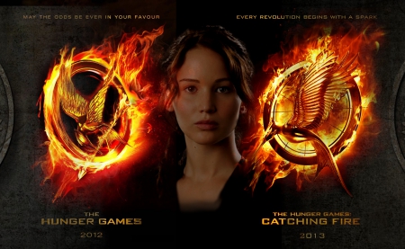 Katniss Evedeen (The Hunger Game) - 2013, picture, hunger game, 21, movie, 11