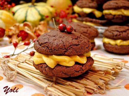 Chocolate Biscuits - delicious, biscuits, autumn, cookies, food, chocolate, dessert, sweet