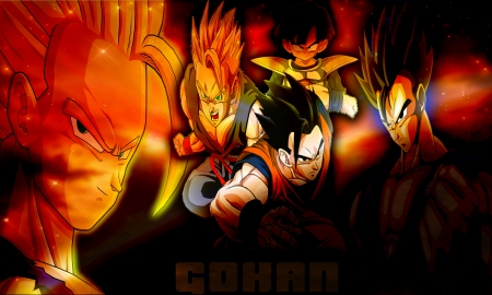 GOHAN - dragonball, animation, gohan, dbz