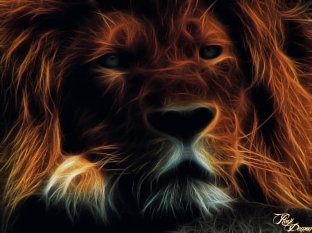 Lighting Lion - lighting, photomanipulation, lion, animals