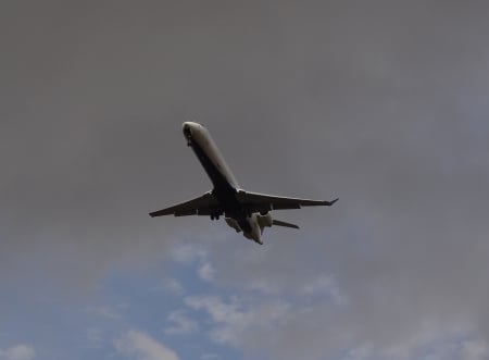 Grey and Blue Sky Bird - plane, airplane, aircraft, jet, jet plane, sky