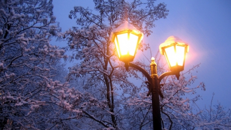 Snowy Streetlights - lantern, landscape, light, streetlights, tree, night, snow