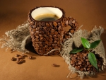 *** FRESH AND NATURE COFFEE ***