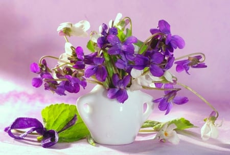 Violets  for Purple Haze - vase, delicate, violets, beautiful, small, beauty, spring, colors, freshness, still life, flowers, white, nature, purple, soft