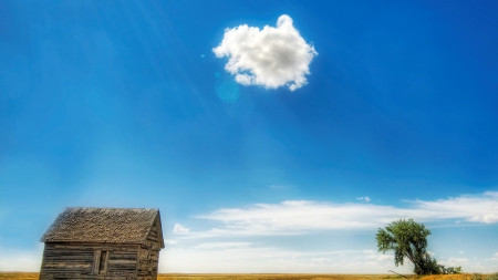 one shack, one tree, one cloud - shack, fields, cloud, tree, sky