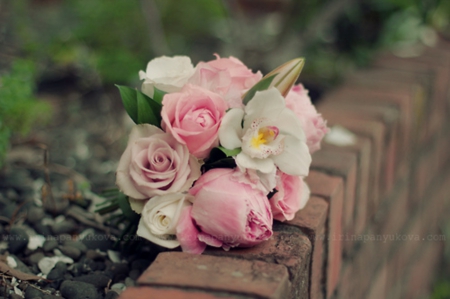 ~ The best thing to hold onto in life is each other. ~ - best, pastel, pink, soft, beauty, bouquet, nature, pink roses