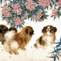 Dogs and Flowers