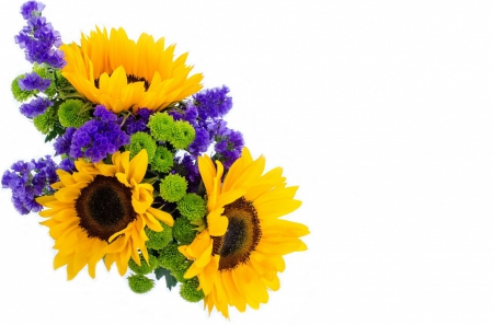 Sunflower Bouquet! - sunflower, nature, bouquet, flowers