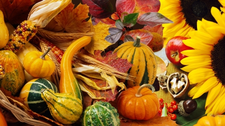 Thanksgiving Harvest - nuts, autumn, sunflowers, pumpkin, thanksgiving, vegetables, apples, gourds, acorns, fall, harvest, squash, leaves, garden