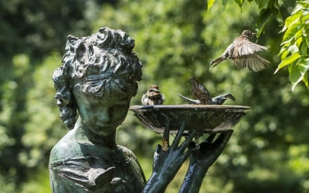 Bath for sparrows - bird, stone, water, fountain, girl, bath, sparrow, green, park, statue