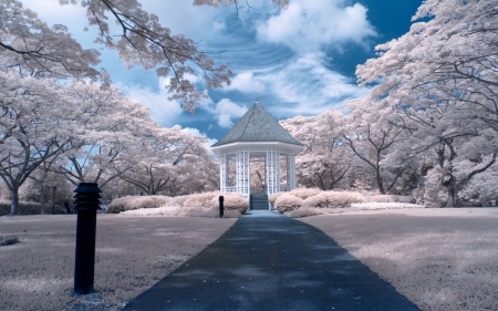 Park - singapore, park, gazebo, spring, nature, white, pavilion, blue, petals, blossom, tree