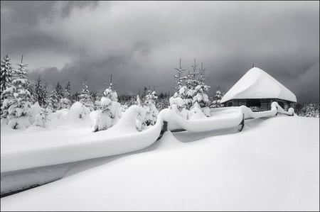 Magic Winter - iarna, e, magica, alba